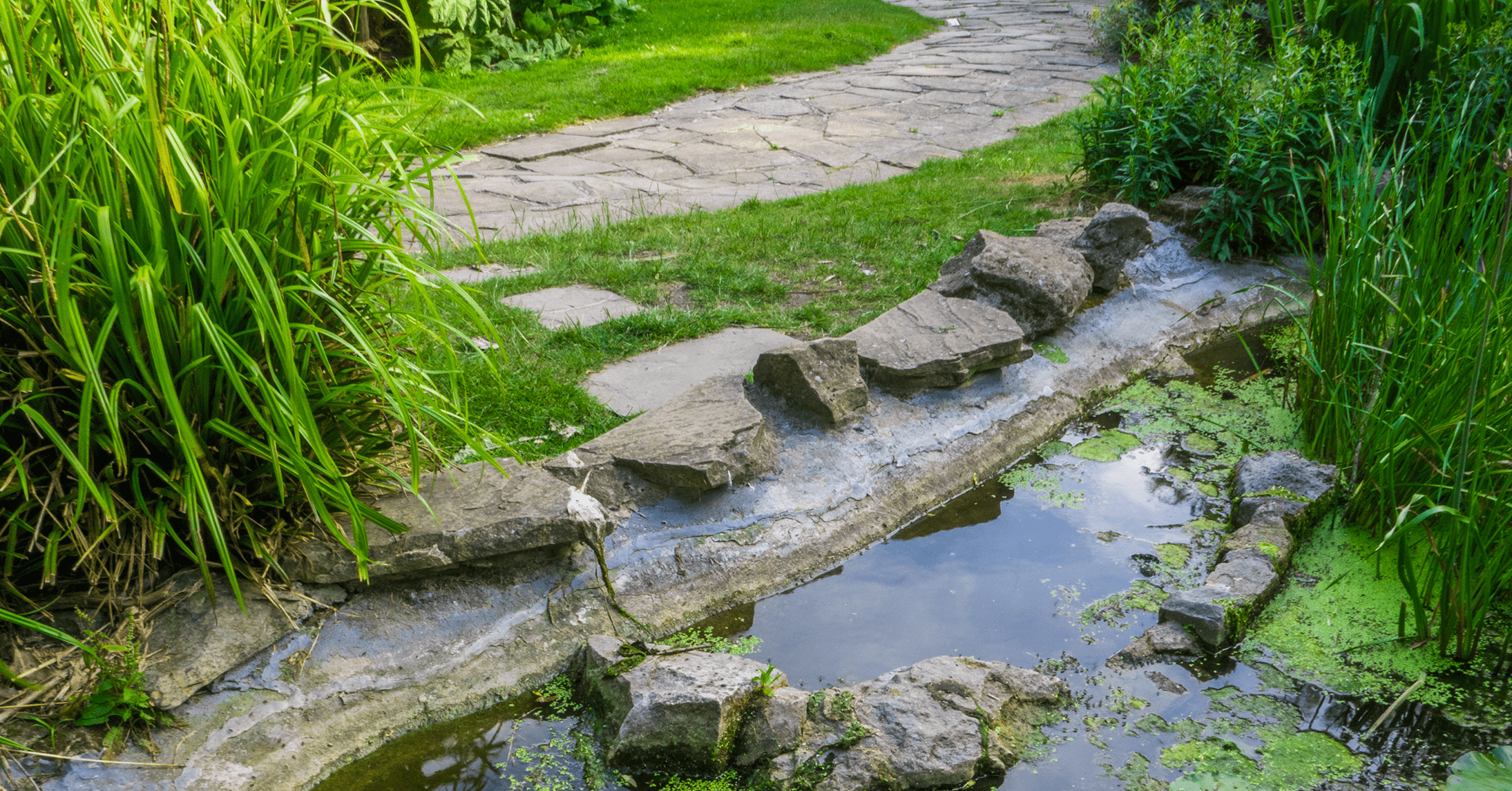 Common Outdoor Water Features and Standing Water Problems