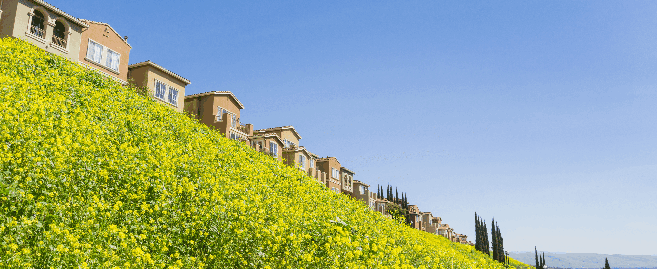 The Surprising Answer to ‘Can Homes Slide Down Hills?’