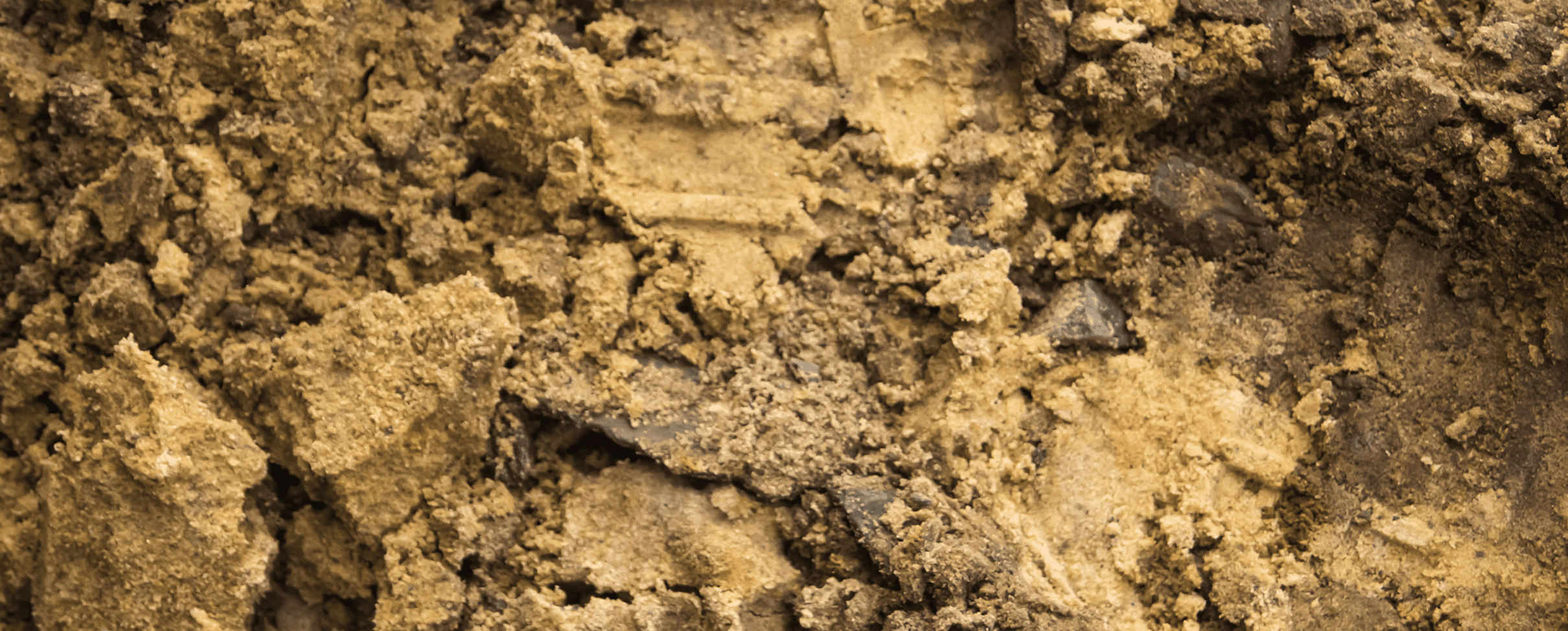 What Kinds of Soils Are Most Expansive? Foundation Damage Red Flags