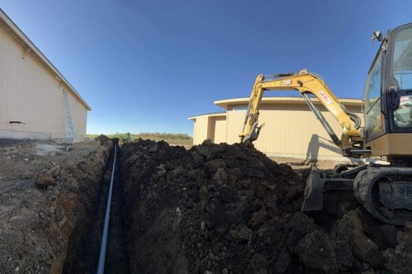 95020b5a-22b4-42bd-9749-553928d6d705