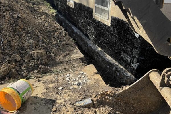 ad355a41-ef9e-4994-ab24-81e439e333d1